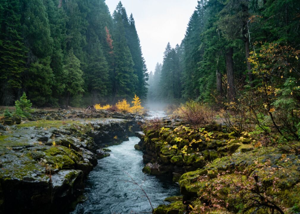 Oregon: Rogue River